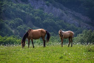 Прикрепленное изображение: IMG_0468.jpg
